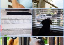 Be Safe With These Simple Home Security Tips