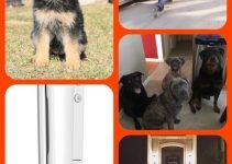Improve Your Home Security With This Effective Advice