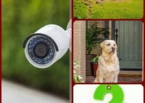 Don’t Know Anything About Home Security? Keep Reading!