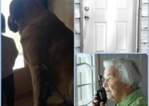 Follow This Great Article About Home Security To Help You