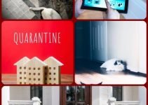 Great Home Security Tips You Should Know About