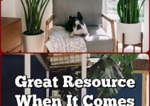 Great Resource When It Comes To Interior Planning
