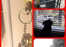 Home Security: Tips To Keep You Protected
