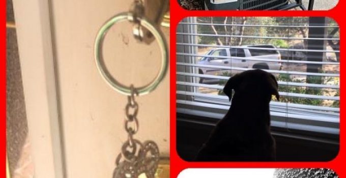 Home Security: Tips To Keep You Protected