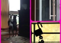 Home Security: What It Takes To Get The Job Done
