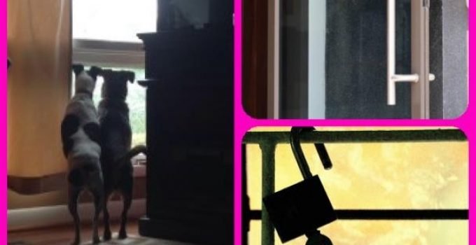 Home Security: What It Takes To Get The Job Done