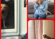 Improve Your Life With These Awesome Home Security Tips