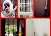 Take Command Of The Security Within Your Home