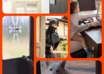 Understand The Innovative Options You Have With Home Security Products