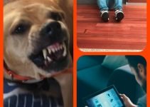 Awesome Advice On How To Improve Your Home Security