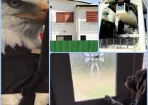 Awesome Home Security Advice You Need To Know