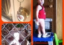 Free Tips And Tricks To Help You With Home Security