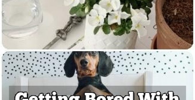 Getting Bored With Your Home? Use These Interior Design Ideas