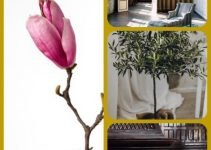 Give Your Rooms Some Spark With These Easy Design Tips
