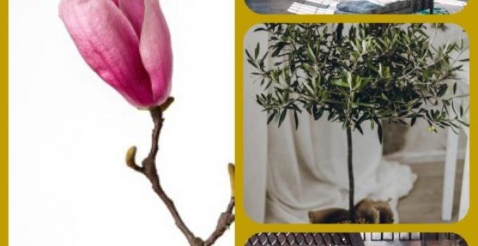 Give Your Rooms Some Spark With These Easy Design Tips