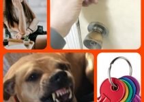 Home Security Advice Every Homeowner Should Read