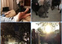 How To Deter Criminals And Keep Your Sanctuary Secure