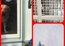 Looking To Secure Your Home? Read These Ideas.