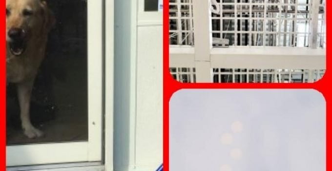 Looking To Secure Your Home? Read These Ideas.