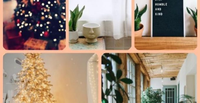 Decorate Your Home Like A Pro With These Tips
