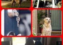 Be Safe With This Important Home Security Advice