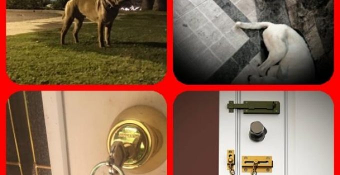 Finding Good Home Security Solutions – Tips To Help