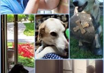 Great Home Security Tips That Will Actually Work