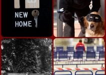 Home Security Tips To Keep You Safe