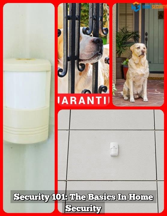 Security 101: The Basics In Home Security