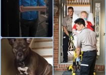 We’re Sharing These Home Security Secrets Against The Pro’s Advice
