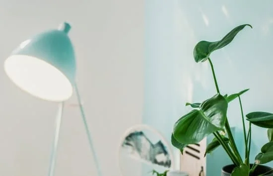 Interior Decorating Isn’t Just For The Pros! These Tips Can Help You Get Your Home Picture Perfect!
