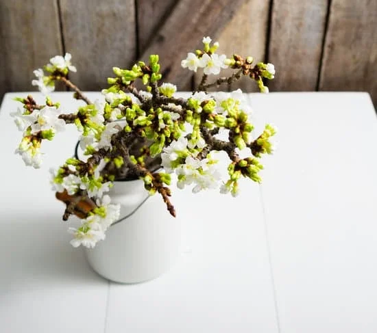Beautiful scented candles for perfect home decor ambiance