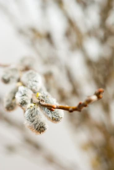 How to Decorate Minimalist Home 1 Sleek and simple decor ideas for minimalist homes: transforming your space with minimalistic style