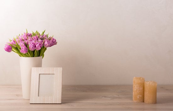 Learn step-by-step instructions on how to decorate your home with plants effectively