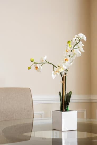 How to Make Your Home Decor Flow 1 Suggestion: Step-by-step instructions on how to create a cohesive flow in your home decor