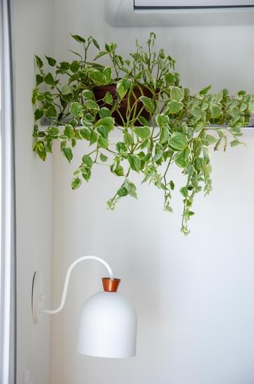 What Happened to Home Decorators Collection Website 1 Home Decorators Collection website: Discover updates and changes to enhance your home decor experience