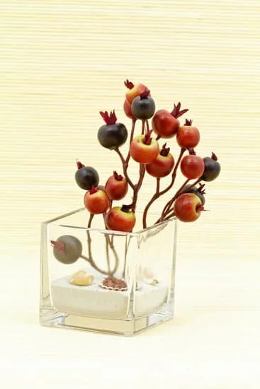 Stunning A New View Home Decor Ashburn: Discover Unique and Stylish Décor for Your Space!