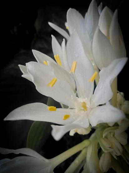 Step-by-step guide on how to decorate your office room at home for a productive workspace