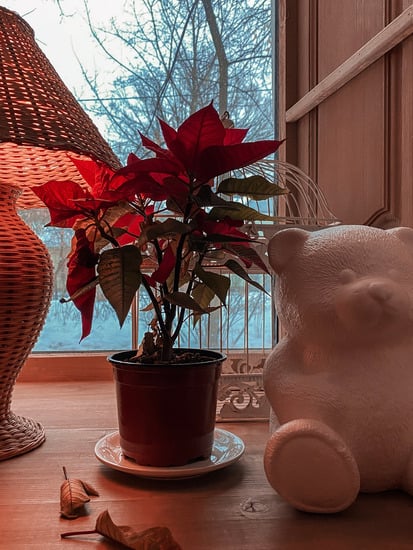 How to decorate your home with flowers: a step-by-step guide for stunning floral arrangements