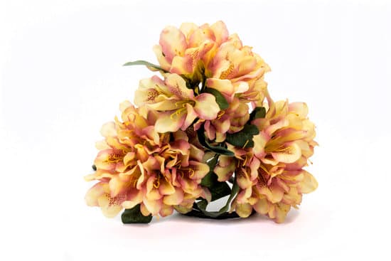 How Much Does It Cost to Hire a Home Decorator 1 How much does it cost to hire a skilled home decorator for your project?