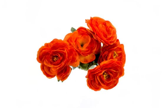 How to Decorate Your Home: Budget-Friendly Tips for an Expensive Look