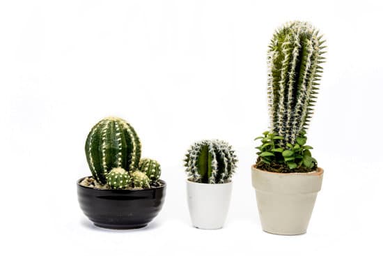 Step-by-step guide on how to decorate my new home with easy and creative ideas