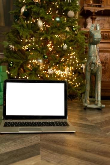 How to Decorate Home With Indoor Plants 1 Step-by-step guide on how to creatively decorate your home with indoor plants