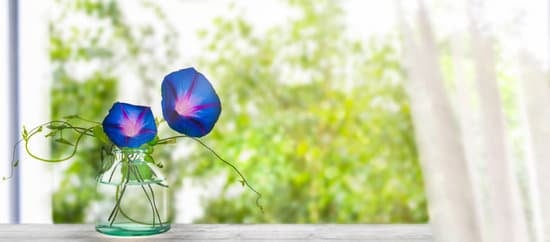 Transform your home with these simple decorating ideas using everyday items