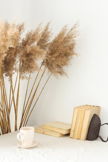 How to Decorate My Home Office: Ideas for a Stylish and Productive Workspace