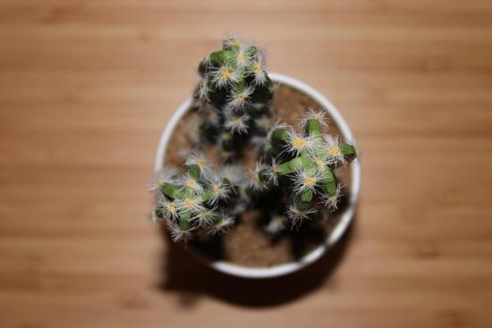 Discover the best destinations for home decor shopping and find out WHERE TO SHOP FOR HOME DECOR now!