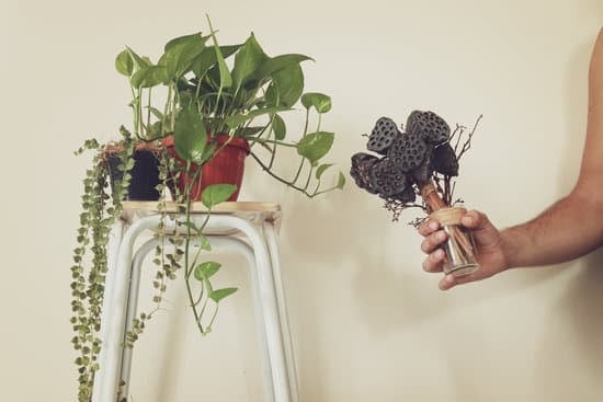 Step-by-step guide: Learn how to decorate cake with whipped cream at home easily