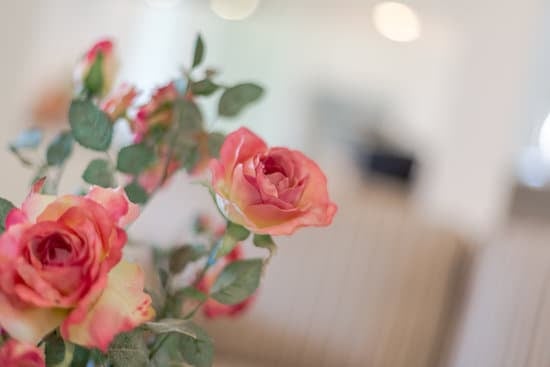 Efficient Home Decorating Tips: How to Save Money on Decorating Your Home