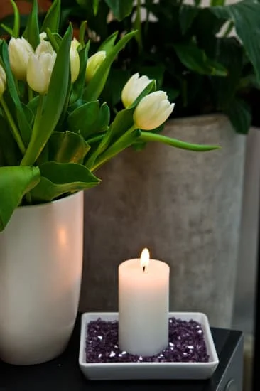 Affordable Home Decor: Top Places to Buy Cheap Home Decorations
