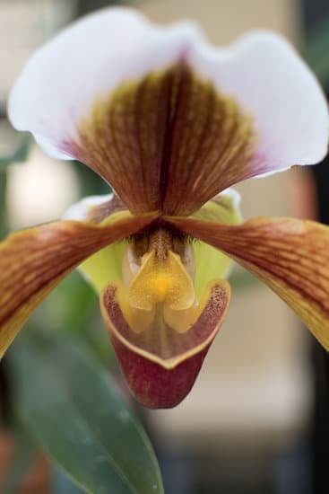 What Is a Home Decorator 1 What is a home decorator: A guide to creating beautiful living spaces with professional interior designers